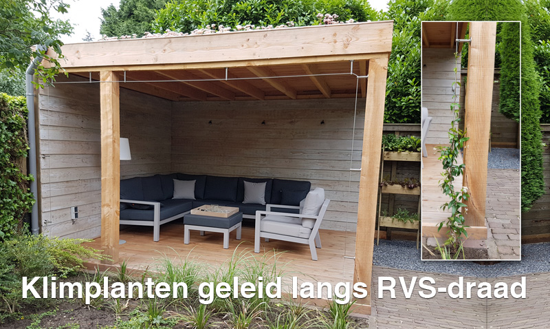 Balans tussen bestrating en beplanting in een tuinontwerp uit De Baronie