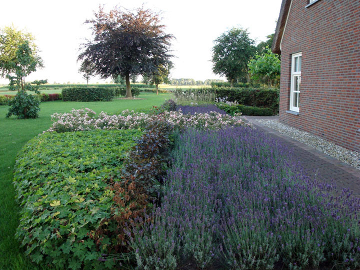 Landschapstuinen — gerealiseerd tuinontwerp van Baronie Tuinontwerpen in Breda en De Baronie — foto 9