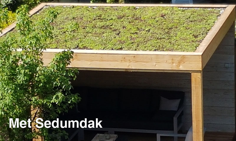 Klimplanten langs RVS-draden bij een pergola in een Bredase tuin