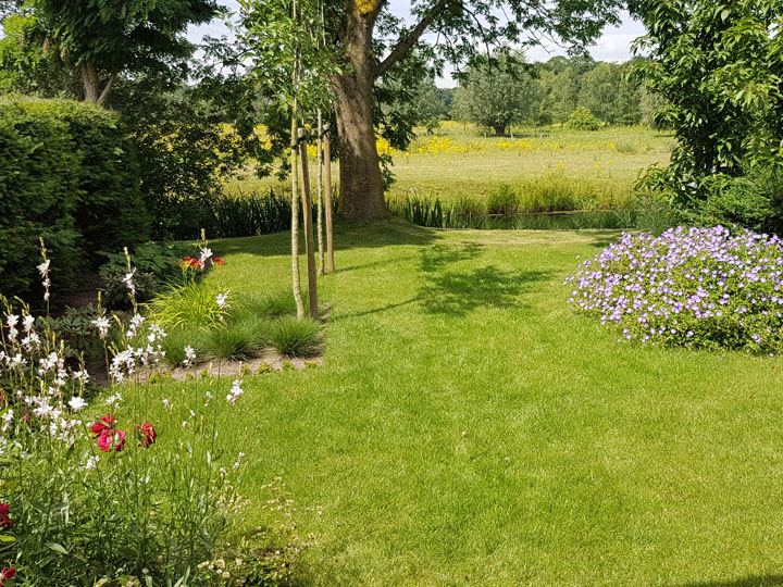 Landschapstuinen — gerealiseerd tuinontwerp van Baronie Tuinontwerpen in Breda en De Baronie — foto 3
