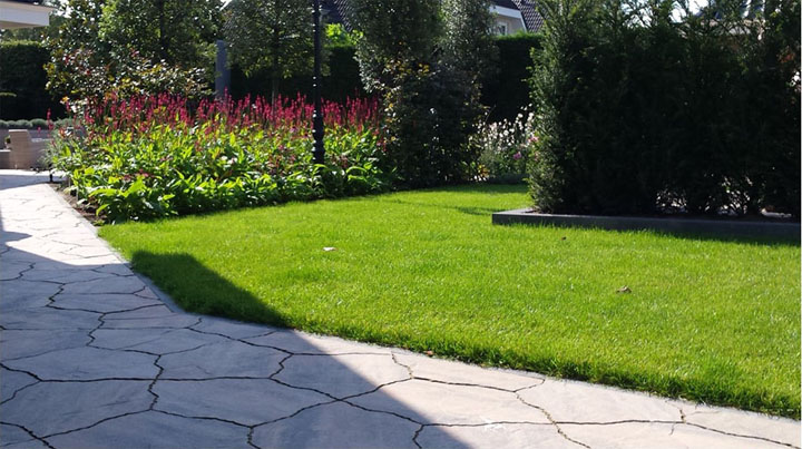 Landschapstuinen — gerealiseerd tuinontwerp van Baronie Tuinontwerpen in Breda en De Baronie — foto 7